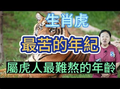 屬虎的幸運數字|12生肖最強開運秘訣 幸運數字、顏色與方位都要筆記。